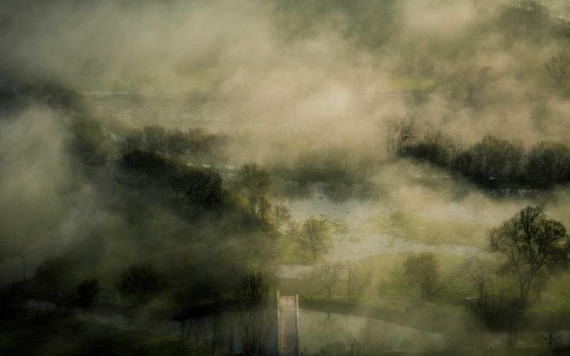 Policy Pulse: Privacy Rules Meet Real Life