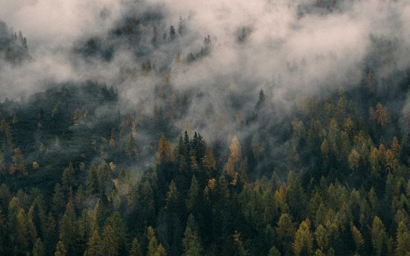 Market Notes: What India’s Founders Are Watching